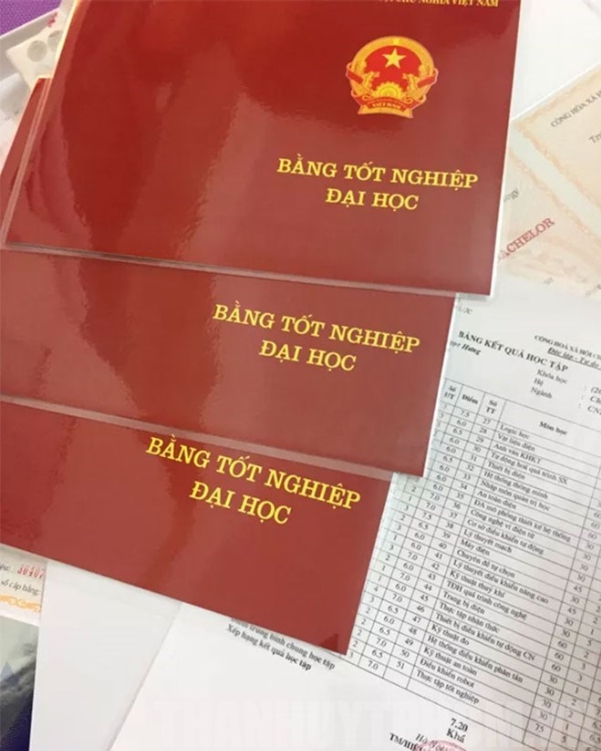 Vậy có nên mua bằng đại học để xin việc? Sử dụng bằng giả có được không ?