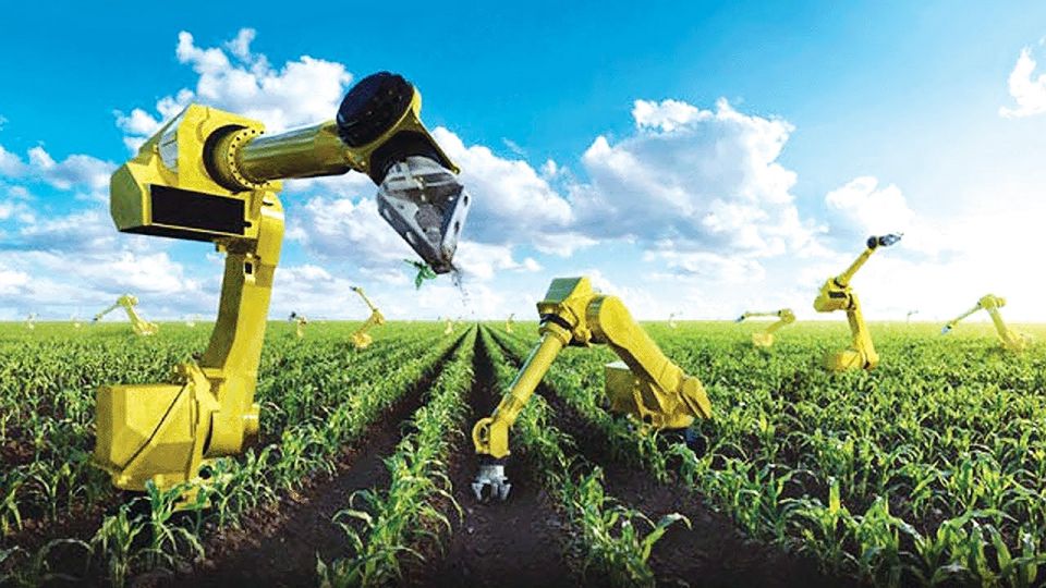 Làm Bằng Cao Đẳng Nông Nghiệp - Lựa Chọn Đúng Và Thông Minh