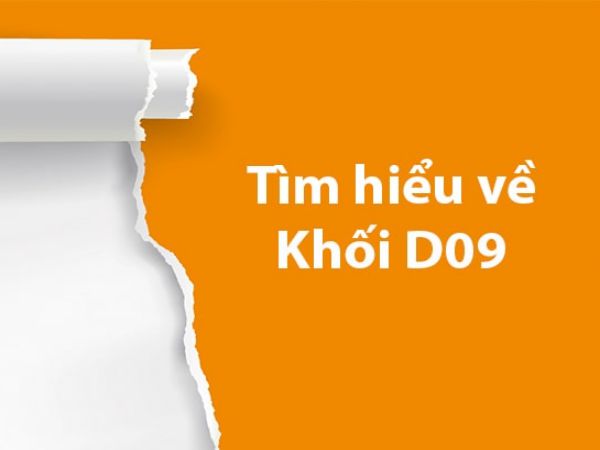 Khối D09 Gồm Những Môn Nào? Cơ Hội Việc Làm Ra Sao?
