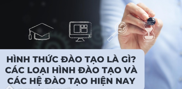 Hình Thức Đào Tạo Là Gì? Các Loại Hình Đào Tạo Tại Việt Nam