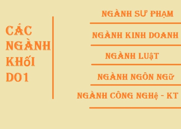 Ngành nghề liên quan đến khối D01