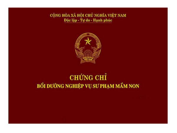 Các dịch vụ làm chứng chỉ sư phạm phổ biến tại Làm Bằng Toàn Quốc