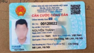 CCCD gan chip 1