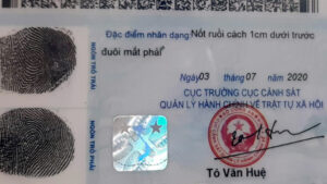 mat sau