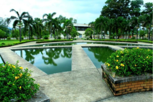 Bằng Đại Học Khoa Học Tự Nhiên Có Giá Trị Không?