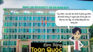 Làm Bằng Đại Học Nông Lâm An Toàn, Chất Lượng