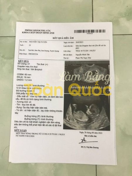 giay kham thai 11 450x600 1