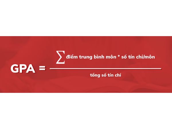 Cách Tính GPA Đại Học Đơn Giản Và Chi Tiết 2024