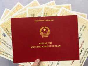 lam chung chi day anh van thieu nhi