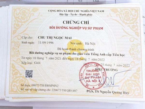 Nhận Làm Chứng Chỉ Dạy Anh Văn Thiếu Nhi Mới Nhất 2024